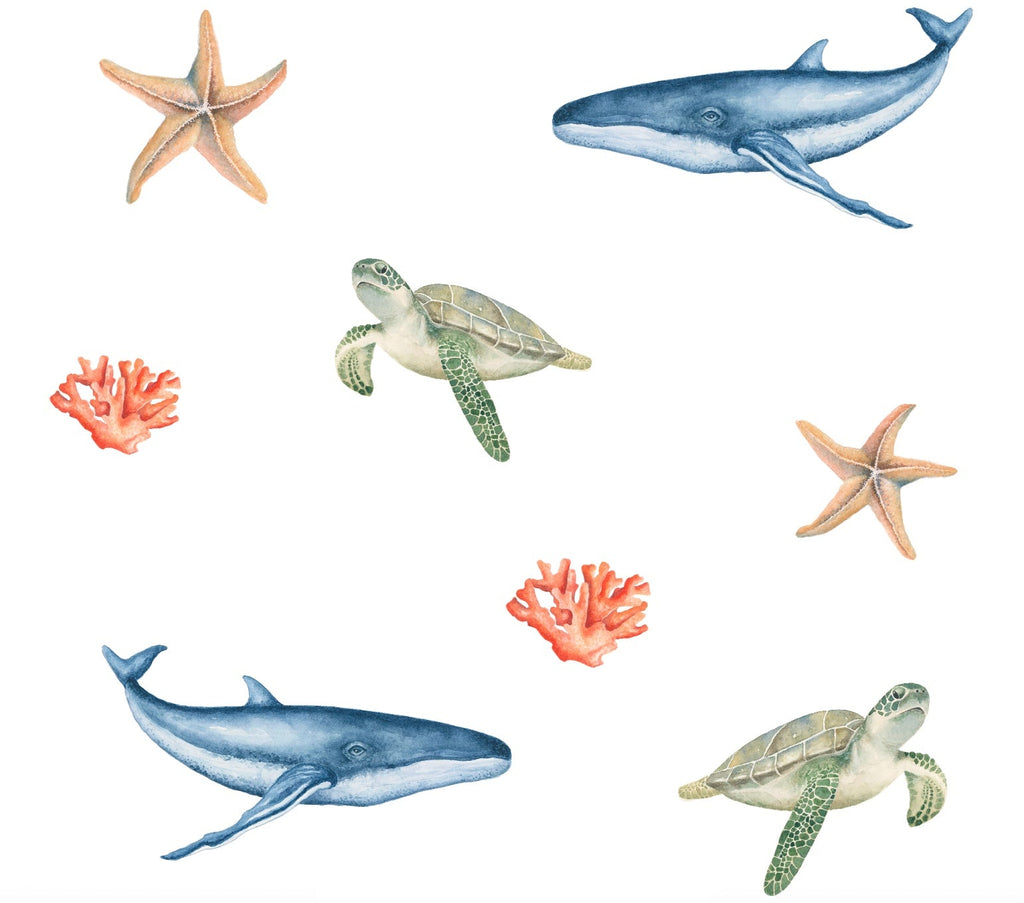 Illustrations of a whale, turtle, and starfish on a white background
